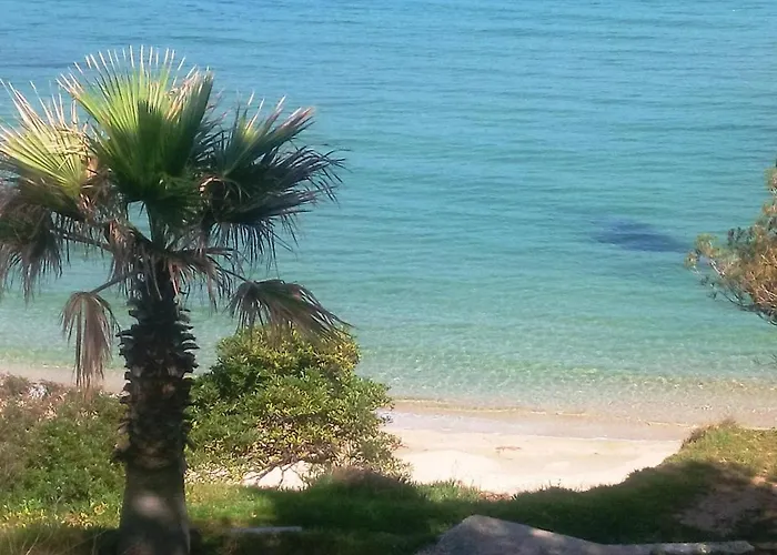 Familial Avec Piscine, Terrasse Et Parking Au Lavandou - 5 Couchages - Fr-1-251-487 * Le Lavandou